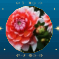 Katharina - Lebensberatung - Lenormand - Hellsicht - Kartenlegen - Energiearbeit
